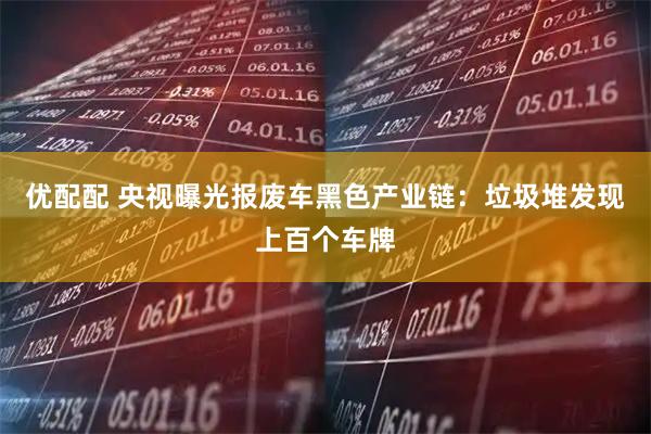 优配配 央视曝光报废车黑色产业链：垃圾堆发现上百个车牌