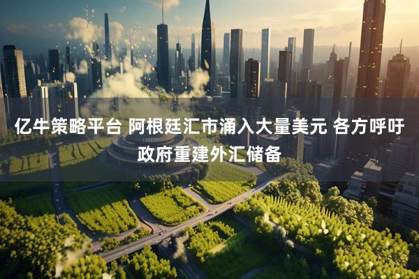 亿牛策略平台 阿根廷汇市涌入大量美元 各方呼吁政府重建外汇储备