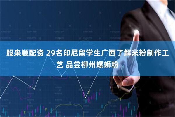 股来顺配资 29名印尼留学生广西了解米粉制作工艺 品尝柳州螺蛳粉