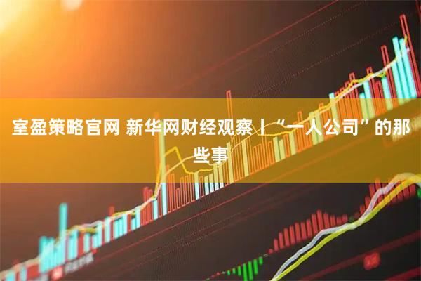 室盈策略官网 新华网财经观察丨“一人公司”的那些事