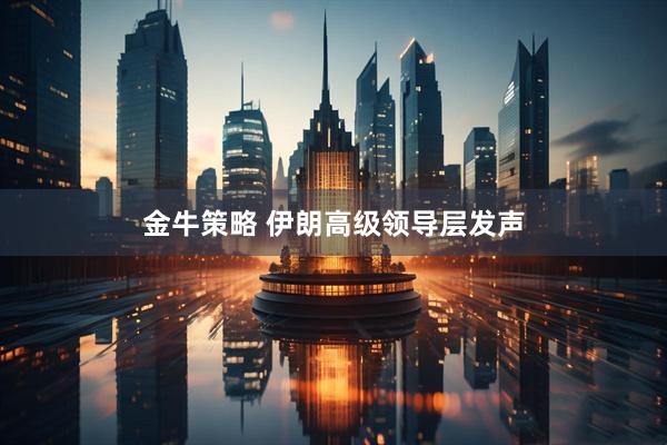 金牛策略 伊朗高级领导层发声