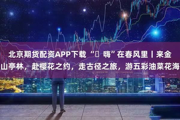 北京期货配资APP下载 “​嗨”在春风里丨来金山亭林，赴樱花之约，走古径之旅，游五彩油菜花海