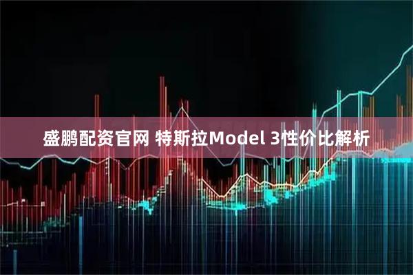盛鹏配资官网 特斯拉Model 3性价比解析