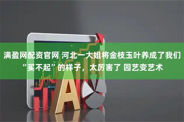 满盈网配资官网 河北一大姐将金枝玉叶养成了我们“买不起”的样子，太厉害了 园艺变艺术