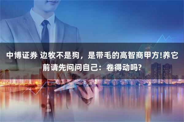 中博证券 边牧不是狗，是带毛的高智商甲方!养它前请先问问自己：卷得动吗?