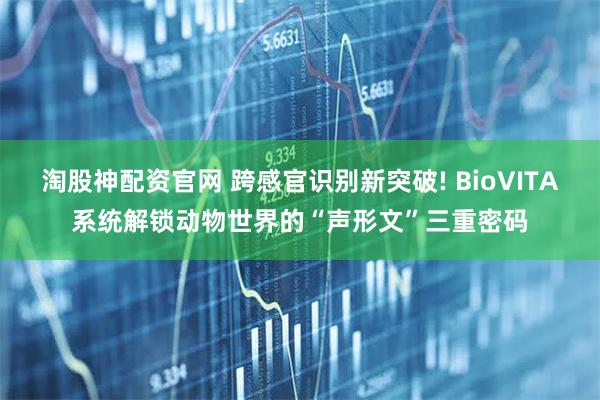 淘股神配资官网 跨感官识别新突破! BioVITA系统解锁动物世界的“声形文”三重密码
