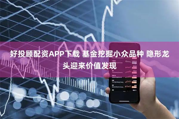 好投顾配资APP下载 基金挖掘小众品种 隐形龙头迎来价值发现